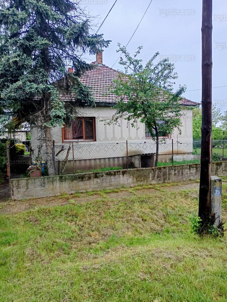 Hirdetés fotója