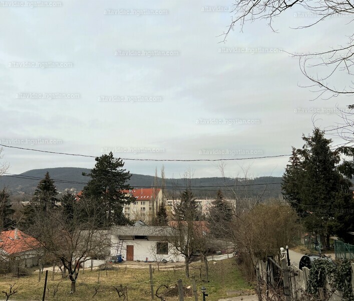 Hirdetés fotója