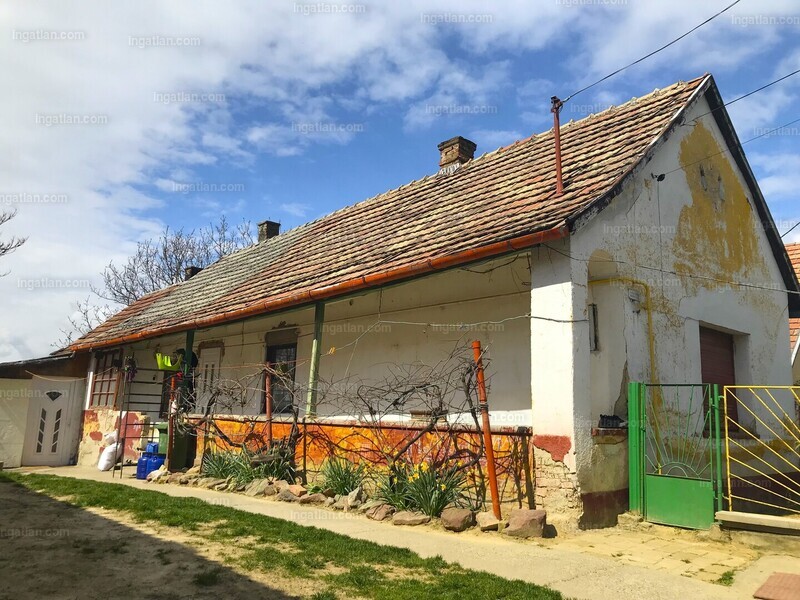 Foto auflisten