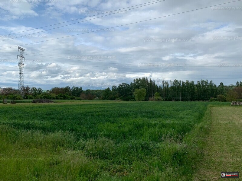 Hirdetés fotója