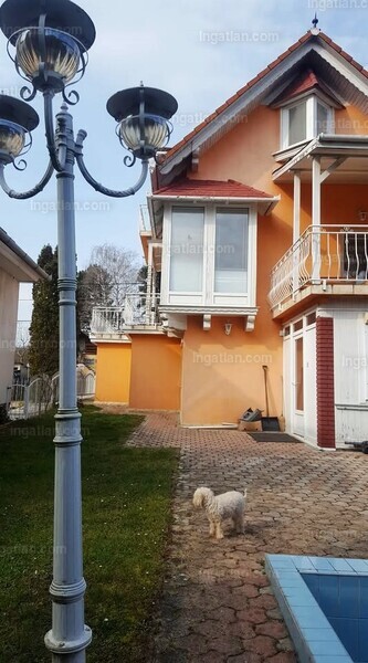 Foto auflisten