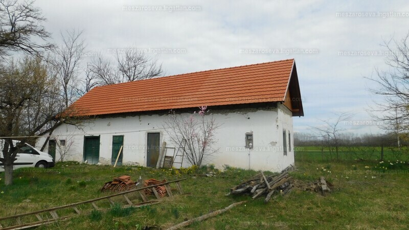 Hirdetés fotója
