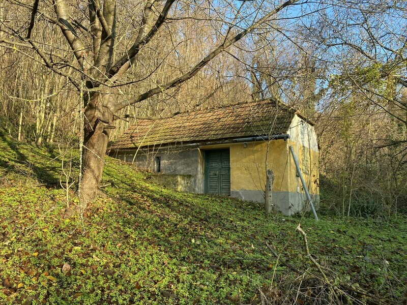 Hirdetés fotója