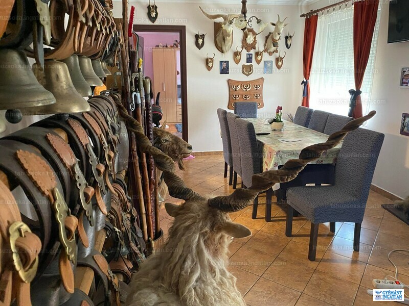 Hirdetés fotója