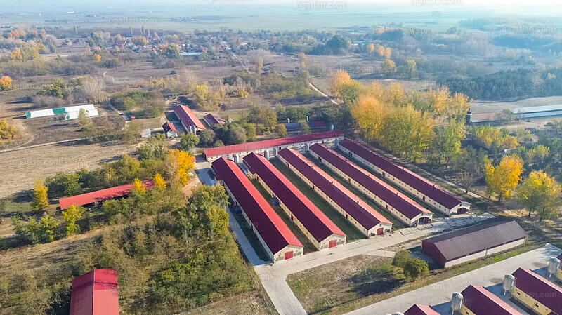 Foto auflisten