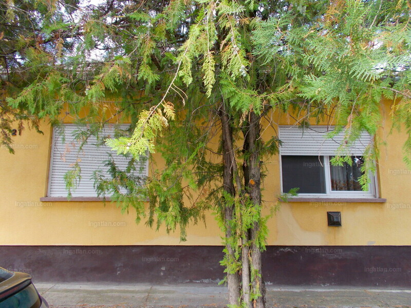 Foto auflisten