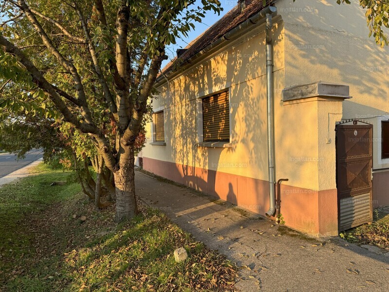 Foto auflisten
