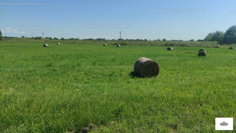 Hirdetés fotója