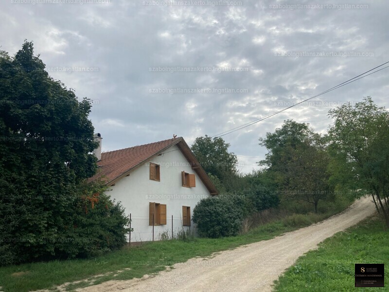 Hirdetés fotója