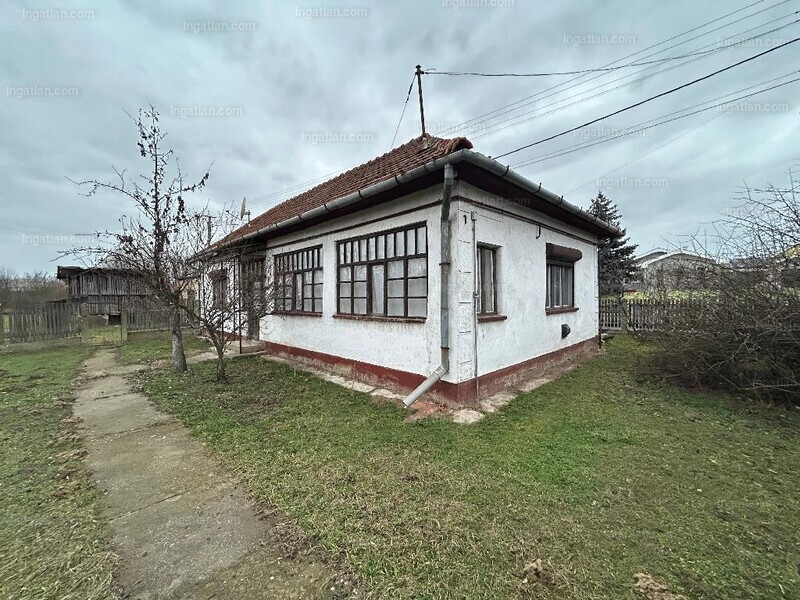 Hirdetés fotója