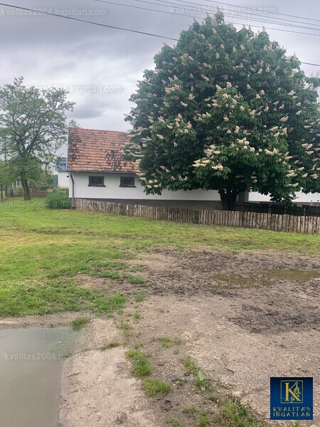Hirdetés fotója