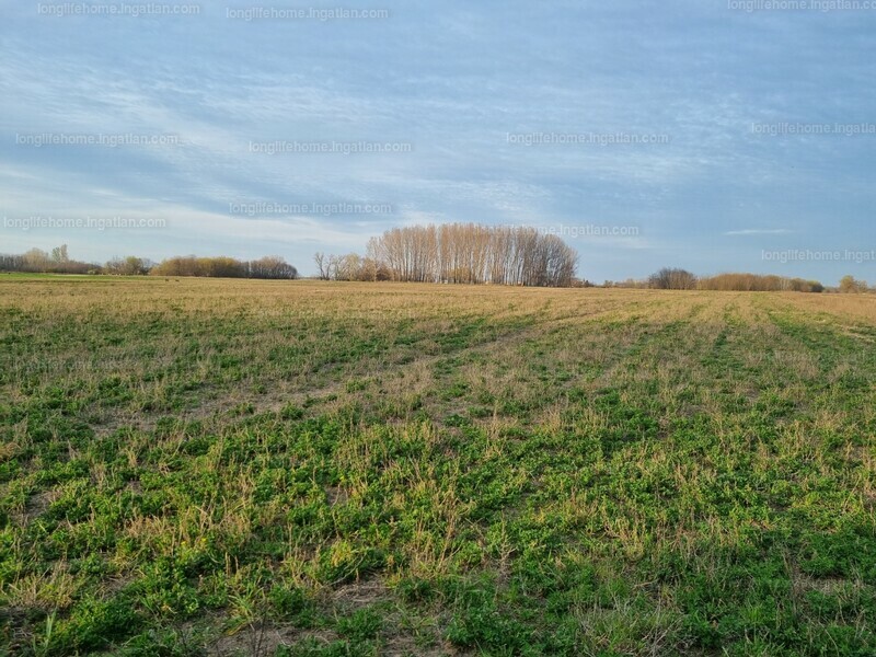 Hirdetés fotója