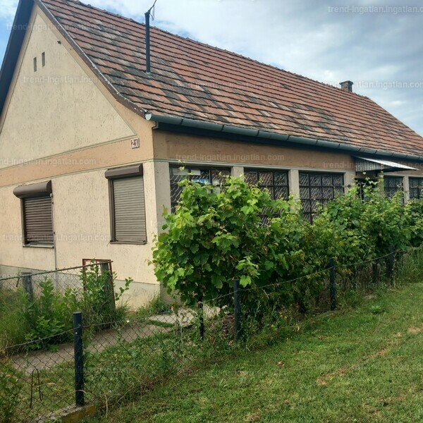 Ingatlan kép