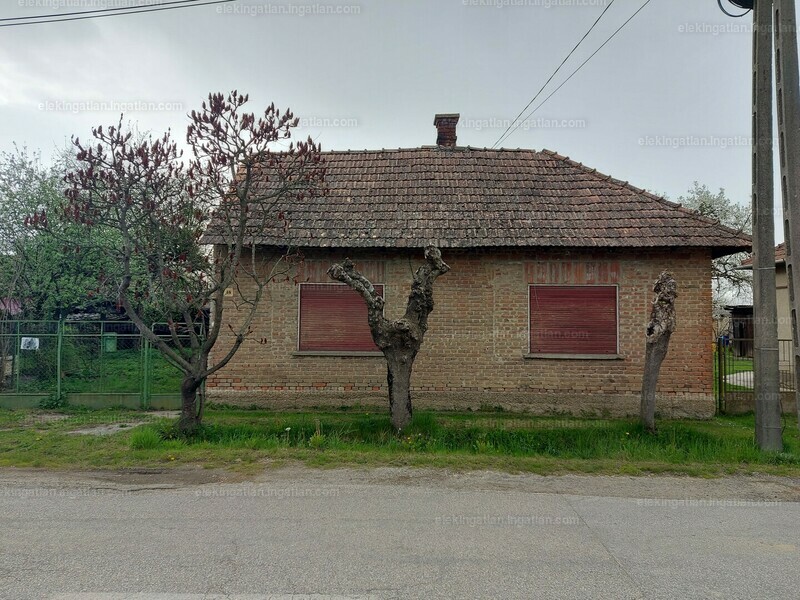 Foto auflisten