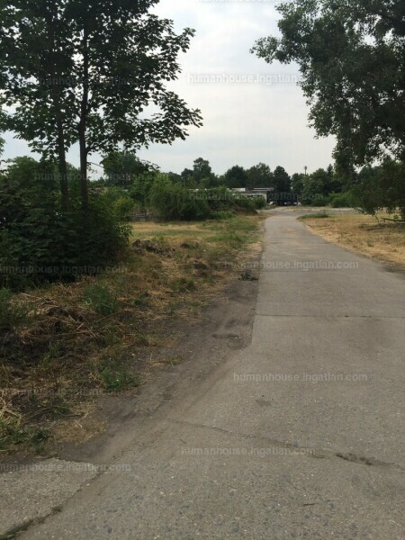 Foto auflisten