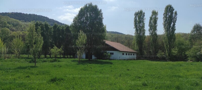 Listing photo