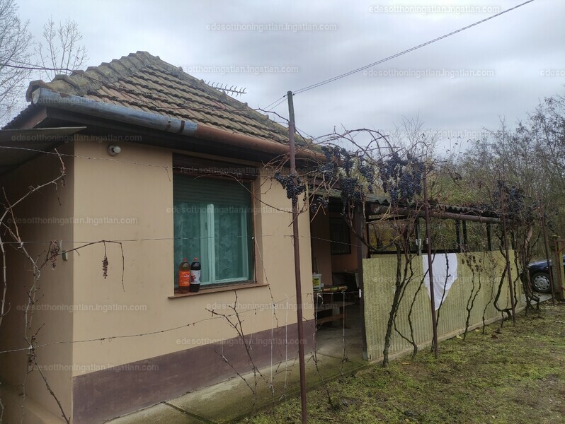 Ingatlan kép