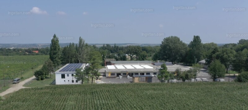 Hirdetés fotója