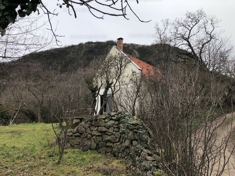 Hirdetés fotója
