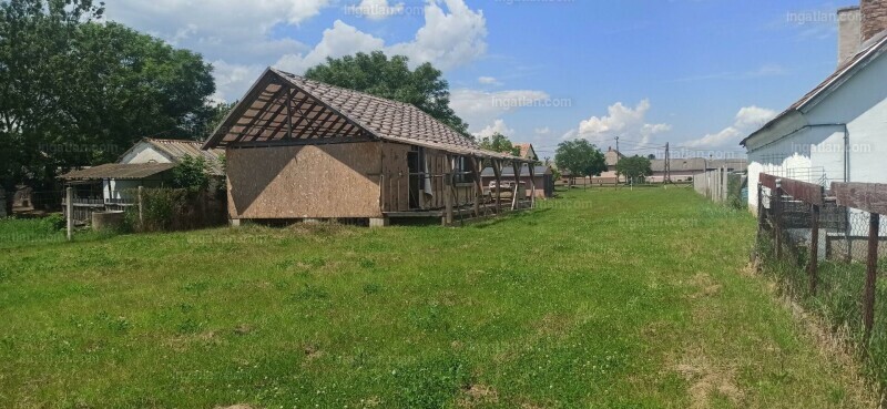 Hirdetés fotója
