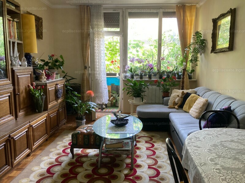 Ingatlan kép