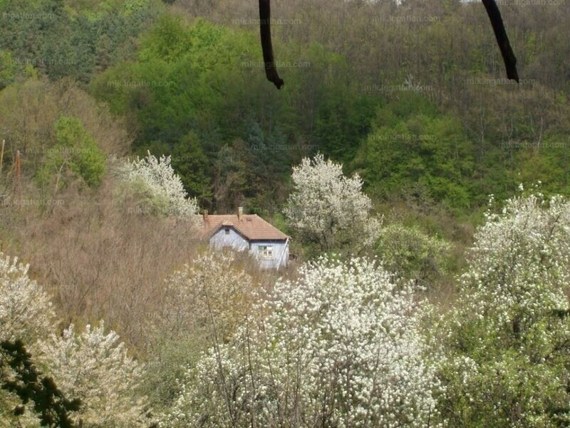 Hirdetés fotója