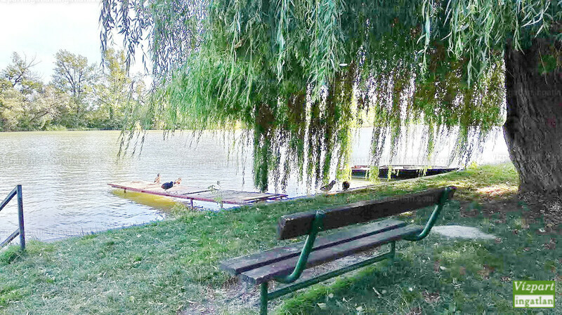 Hirdetés fotója