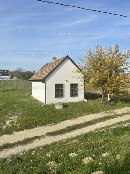 Listing photo