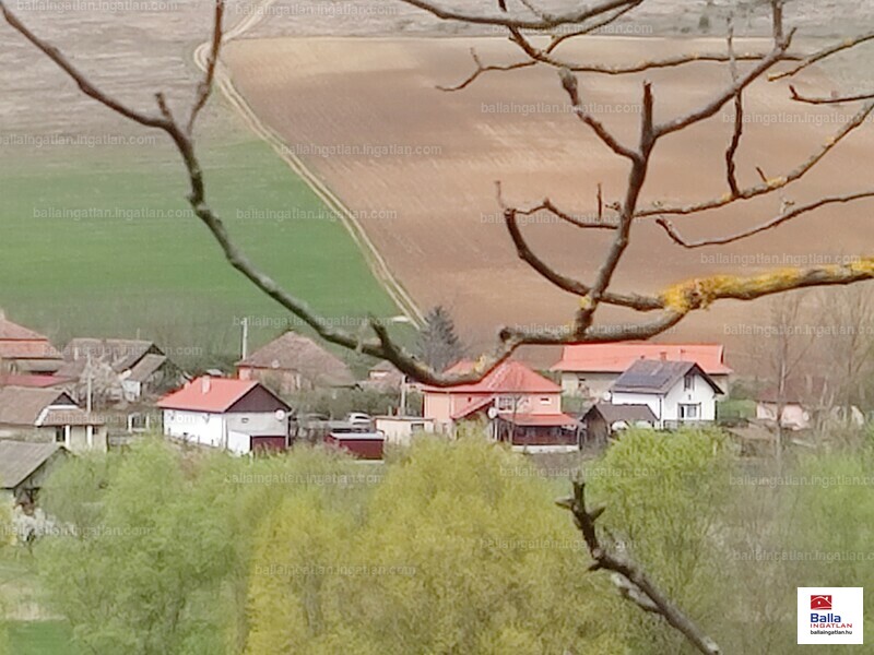 Hirdetés fotója