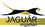 jaguaringatlan