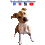 kutyajoingatlanos