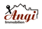 Angi Immo
