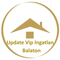 Update Vip Ingatlan