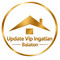 Update Vip Ingatlan