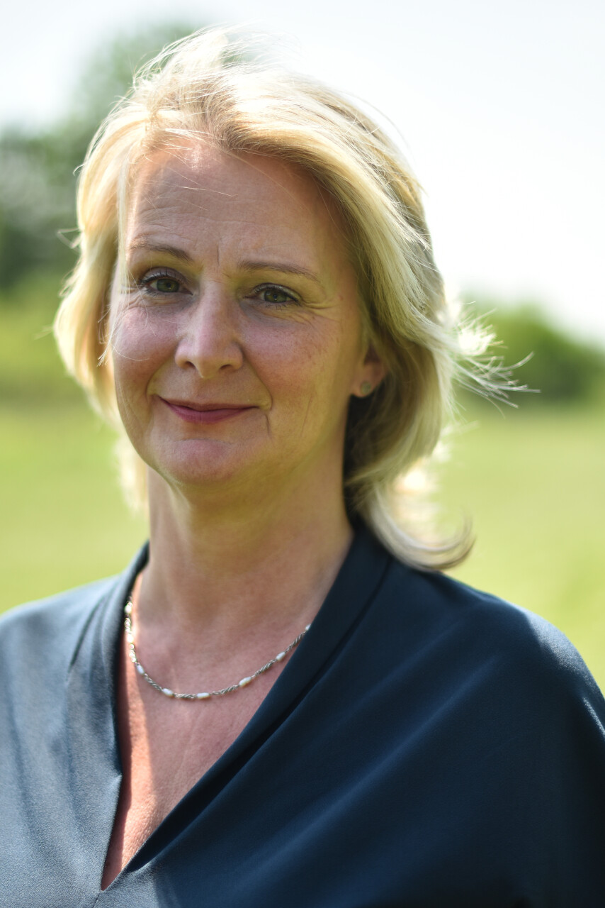Palatinus Ildikó